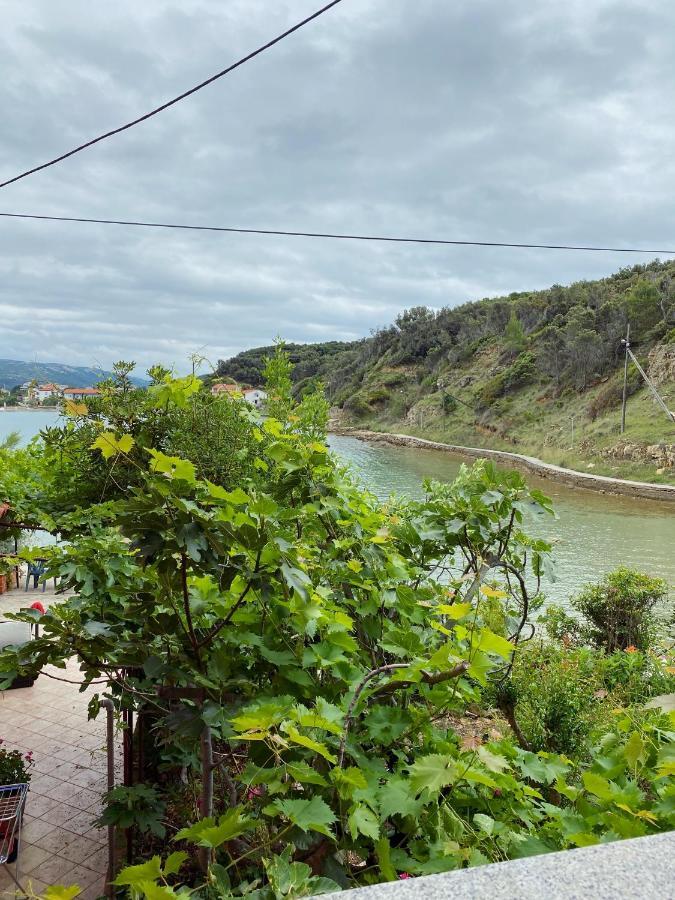 Apartments Zala Matusan Supetarska Draga Bagian luar foto