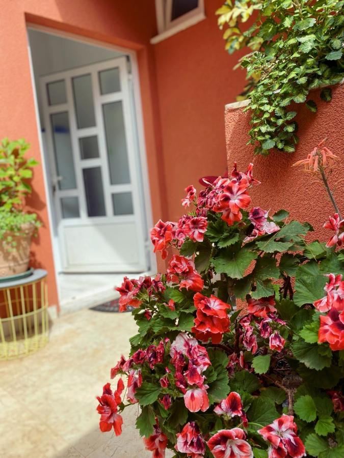 Apartments Zala Matusan Supetarska Draga Bagian luar foto